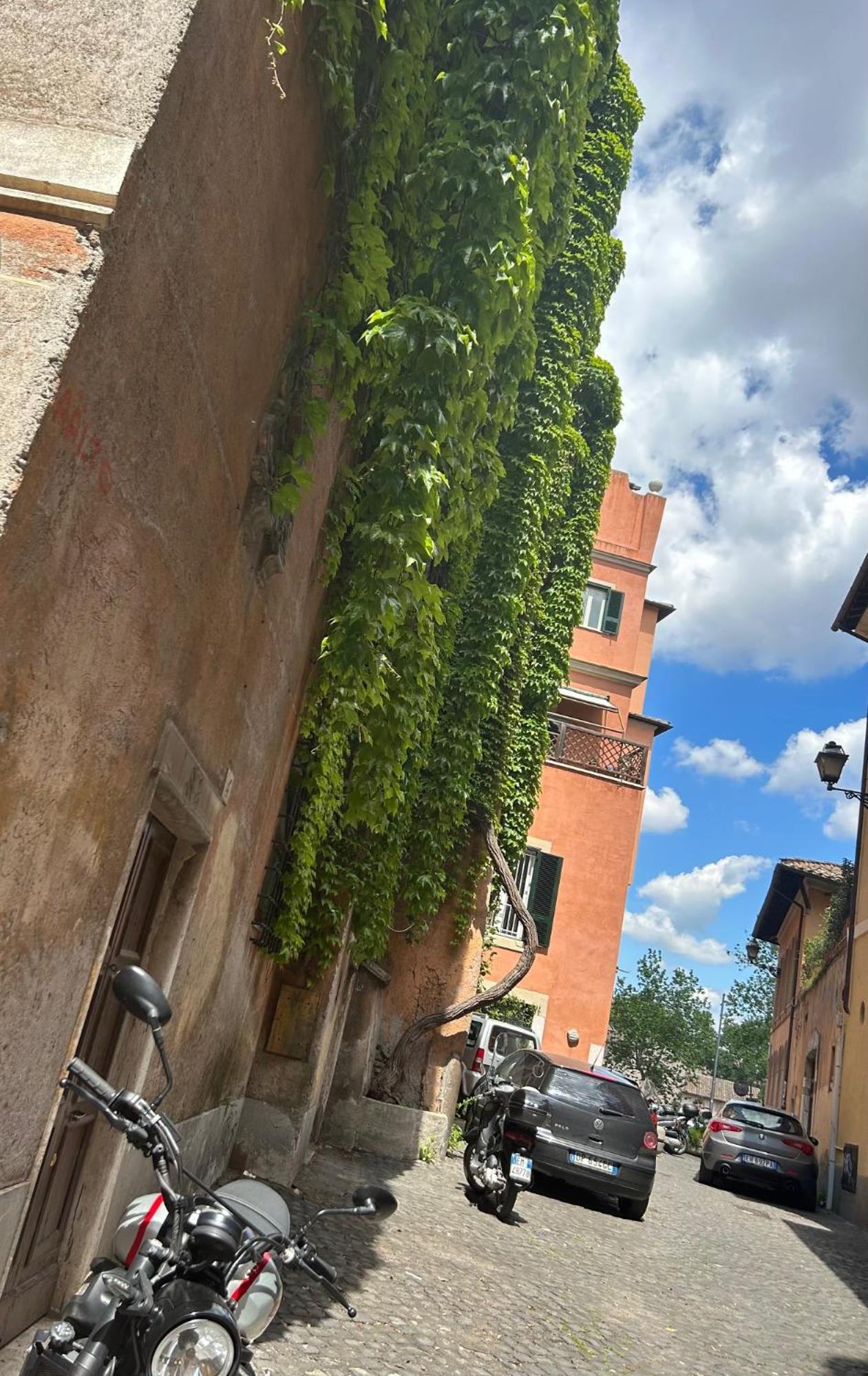 Garden House Trastevere Рим Екстер'єр фото
