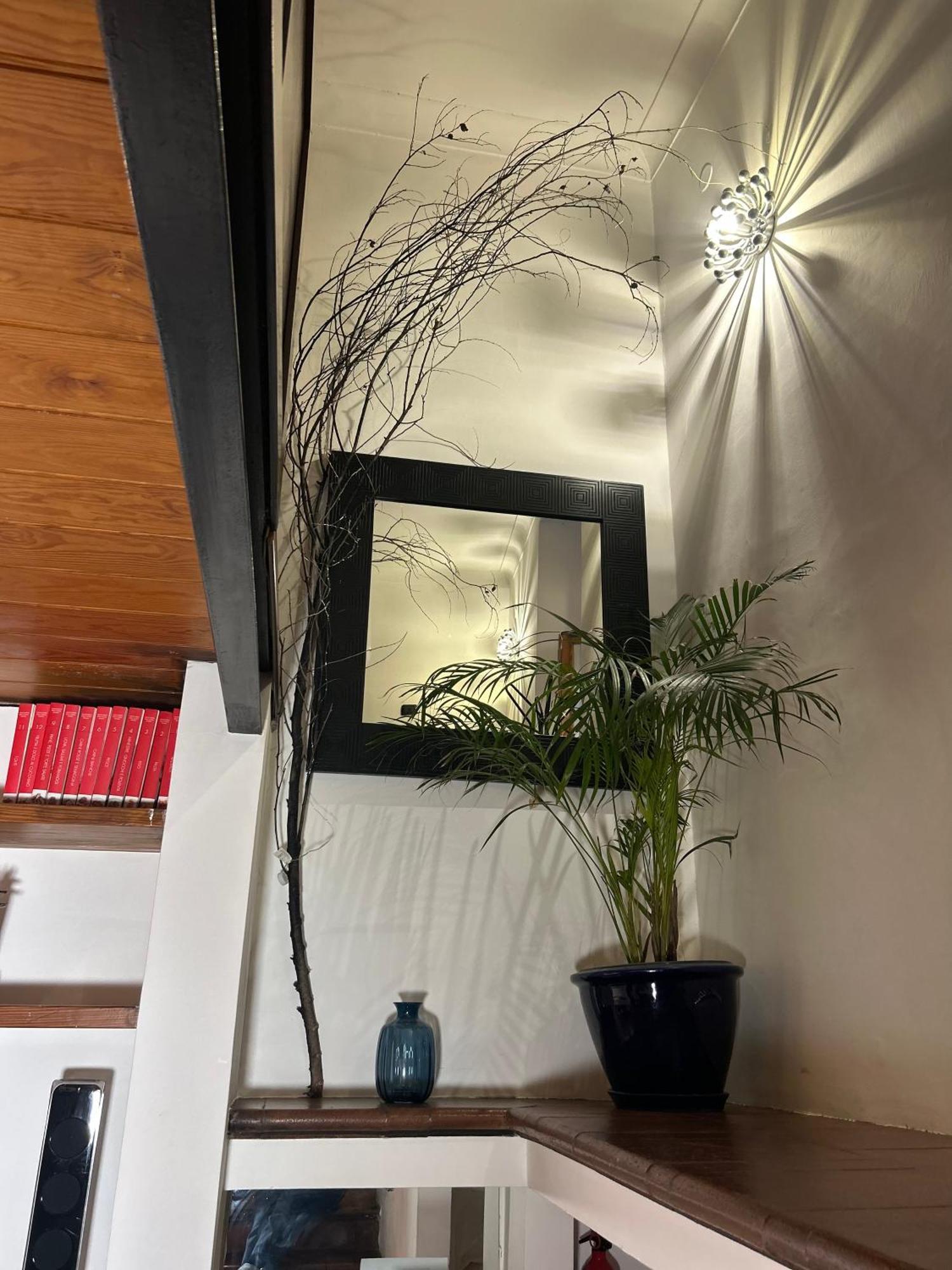 Garden House Trastevere Рим Екстер'єр фото